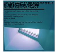 Mxlx – Kicking Away at Decrepit Walls Til The Beautiful Sunshine Blisters – Vinyle – Éd. limitée