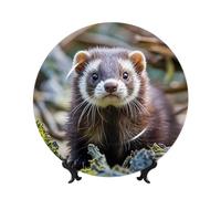 MXPELGHMAD Assiettes décoratives en porcelaine anglaise de 17,8 cm avec support de présentation, assiette en forme de furet poilu, ornements en céramique, artisanat d'art, assiette ronde en porcelaine