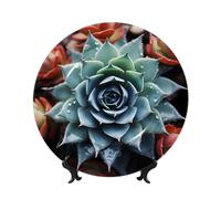 MXPELGHMAD Assiettes décoratives en porcelaine anglaise de 17,8 cm avec support de présentation, assiette pour plantes succulentes, ornements en céramique, artisanat d'art, assiette ronde en