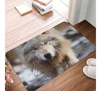 MXPELGHMAD Paillasson absorbant antidérapant lavable pour entrée, porte d'entrée, paillasson d'extérieur et d'intérieur pour chambre à coucher, cuisine, porche, 40 x 60 cm