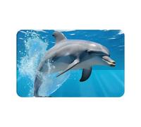 MXPELGHMAD Paillasson absorbant antidérapant lavable pour entrée, porte d'entrée, paillasson d'extérieur et d'intérieur, pour chambre à coucher, cuisine, porche, 80 x 49 cm