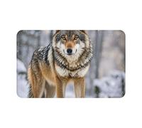 MXPELGHMAD Paillasson absorbant antidérapant lavable pour entrée, porte d'entrée, paillasson pour extérieur et intérieur, pour chambre à coucher, cuisine, porche, 80 x 49 cm