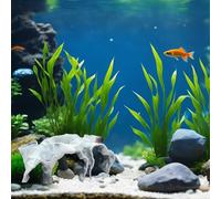 Mxshc Grotte pour Aquarium, Abri À Crevettes avec Décoration D'Aquarium, Décoration Paysage Refuge pour Poissons Combattants, Corydoras, Guppys Et Cichlidés Nains
