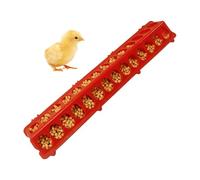 Mxshc Mangeoire À Auget pour Poulets,28 Trous Long Et Large Fournitures Agricoles - Auget d'alimentation pour Volailles | pour Nourrir Caille, Canard, Poule, Coq, Caneton, Et Animaux De Compagnie