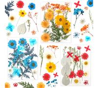 MXTIMWAN 66 Pièces Fleurs Séchées Pressées, Fleurs Sechees Naturelles, Fleur Sechees Decoration, Fleurs Pressées Séchées pour Scrapbooking Bougie Bricolage Résine Époxy Floral Fabrication Artisanale