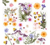 MXTIMWAN Fleurs Séchées Naturelles 66 Pcs,Ensemble de Fleurs séchées pressées Naturelles,Fleurs Séchées Pressées,Presse Fleurs pour Les Bougies,Les Bijoux en résine, Les pendentifs et Les décorations