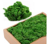 MXTIMWAN Mousse Végétale Décorative 200g, Artificielle et Préservée pour Décorations, Peintures, Artisanat et Fleurs