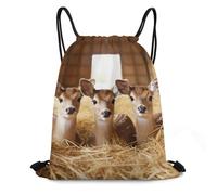 MXZERFKGLA Sac à dos avec cordon de serrage pour homme et femme Système solaire Saturne, Cerf sur foin, 35*42cm