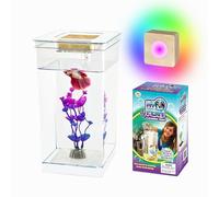 My 1st Fish Tank : Gen 2, Mini Fish Tank Kit de démarrage pour aquarium 1 gal, professionnel pour Betta, entretien facile, système autonettoyant - Ajouter de l'eau uniquement, belle lumière LED