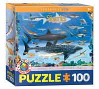 EuroGraphics- Sharks Animaux Puzzle, EUROKIDS-0079, Coloris Assortis, 33 x 48 cm