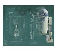 MY AGENCIES Papier peint panoramique encollé Star Wars R2-D2 - 228,60 cm x 182,88 cm Noir G