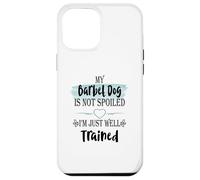 My Barbet Dog is Not Spoiled I'm Well Trained Pet Humour Coque pour iPhone 12 Pro Max