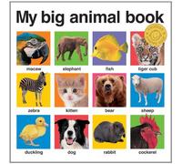 My Big Animal Book