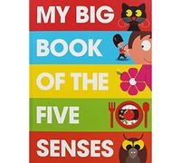 My Big Book of the Five Senses