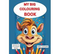 MY BIG COLOURING BOOK