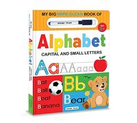 My Big Wipe and Clean Book of Alphabet for Kids: Capital and Small Letters