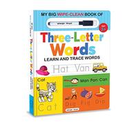My Big Wipe and Clean Book of Three Letter Words for Kids: Learn and Trace Words