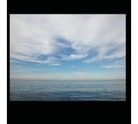 My Blue Blue -- A Story About Love That Swims to Heaven: A gentle story of friendship, love and letting go.