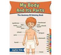My Body And Its Parts