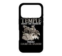 My Body is A Temple Ancient Crumbling Probably Cursed Coque pour iPhone 17 Pro