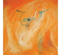 My Cat Is An Alien & - Union of The Supreme Light [Import]