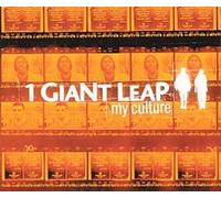 My Culture [12" Vinyl]