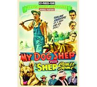 My Dog Shep Comes Home