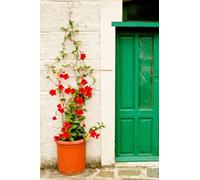 My Dream Log: A Guided Journal to Record, Track & Understand Your Dreams