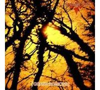 My Empty Room - Grand Illusions