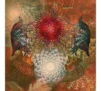 My Epic - Viscera [Import]