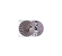 My Everything Édition Limitée Exclusivité Picture Disc