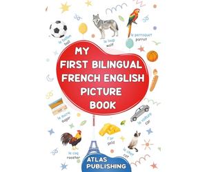 My first bilingual French English picture book: 500 words in the French language - A visual dictionary with illustrated words on everyday themes - Learn French vocabulary for kids and beginner adults