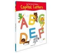 My First Book Of Patterns Capital Letters