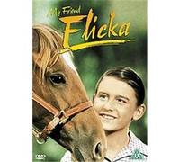 My Friend Flicka G