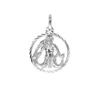My Gold Pendentif Mon Signe du Zodiaque Aquarius (Sans Chaîne) en Argent Sterling 925 Ø12mm Horoscope Rond du Gavno A-07068-S912-Was