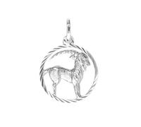 My Gold Pendentif Mon Signe du Zodiaque Capricorne (Sans Chaîne) en Argent Sterling 925 Ø12mm Horoscope Rond du Gavno A-07068-S912-Ste