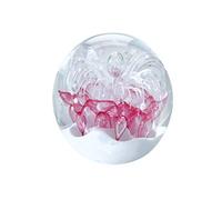 my-gschenk Presse-Papier Boule de rêve Medium : Motif Fleur Blanche avec Rose sur Fond Blanc