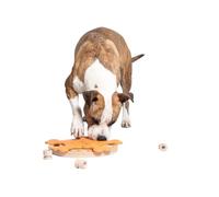 My Intelligent Dogs Jouet Chien Occupation - Jouet Interactif Chien pour Entraînement Mental - Jeu Intelligence, Jouets pour Chiens Stimule Le Cerveau et Réduit l’Ennui - Carousel of Bones