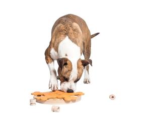 My Intelligent Dogs Jouet Chien Occupation - Jouet Interactif Chien pour Entraînement Mental - Jeu Intelligence, Jouets pour Chiens Stimule Le Cerveau et Réduit l’Ennui - Carousel of Bones