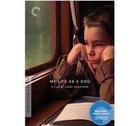 My Life as a Dog – Blu-ray – Sony