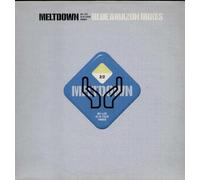 My Life in Your Arms [12 inch] [Import]