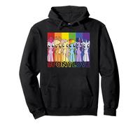 My Little Pony: Friendship Is Magic Pony Love Rainbow Panels Sweat à Capuche