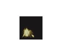 Wolf Alice – My Love Is Cool