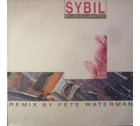 My love is guaranteed (Pete Waterman Remix) [Vinyl Single] (en anglais)