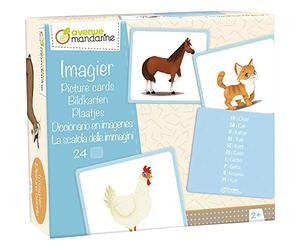 MY MANDARINE JE513C Imagier Animaux familiers 24 cartes (10 langues) 2ans+