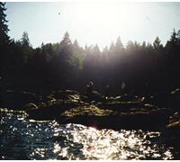 My Morning Jacket - Sweatbees