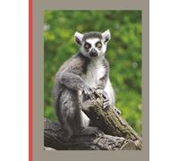 My Notebook: For those who love Madagascar and its culture
