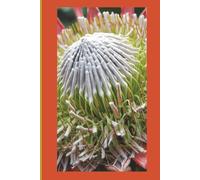 My Notebook: For those who love South Africa and its culture