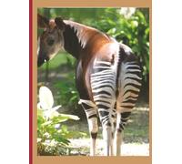 My Notebook: For those who love the Republic of the Congo and its culture