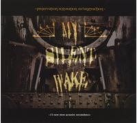 My Silent Wake - Preservation Restoration Reconstruction